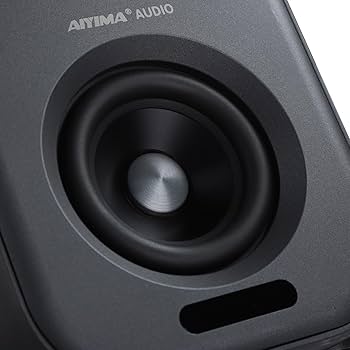 Amazon.com: AIYIMA S400 80 Watt 2.0 Channel Home Audio